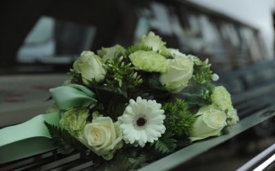 Lessons Learned from Tragic Deaths